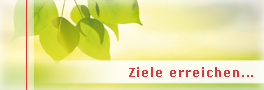Ziele erreichen Ziele erreichen