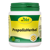 PROPOLIS HERBAL Pulver vet.