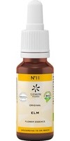 BACHBLUeTEN-No-11-Elm-Bio