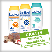 Aktion Gratis schleich Schildkröte