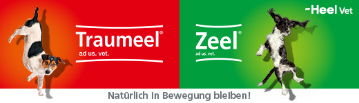 Heel Veterinaer Heel Veterinaer