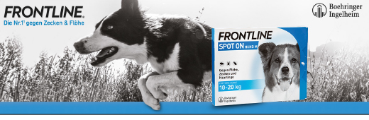 FRONTLINE Spot on H 20 Lösung f.Hunde apotal.de Ihre Versandapotheke