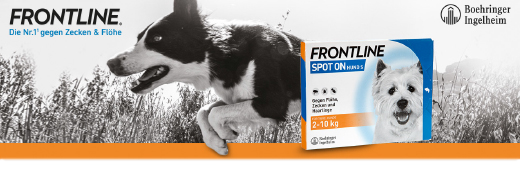 Frontline Spot On H 10 Vet Losung Apotal De Ihre Versandapotheke