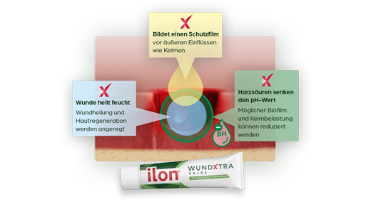 ILON WundXtra Salbe