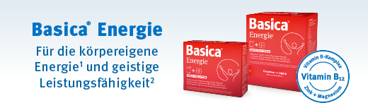 Basica Energie Basica Energie