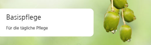 medipharma Olivenöl Basispflege medipharma Olivenöl Basispflege