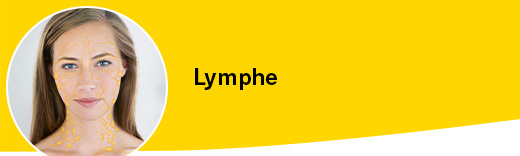 Lymphe Lymphe