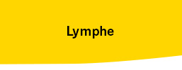Lymphe"