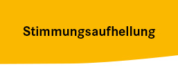 Verstimmungszustände