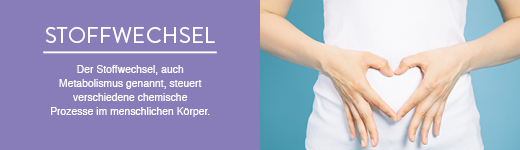 Stoffwechsel Stoffwechsel