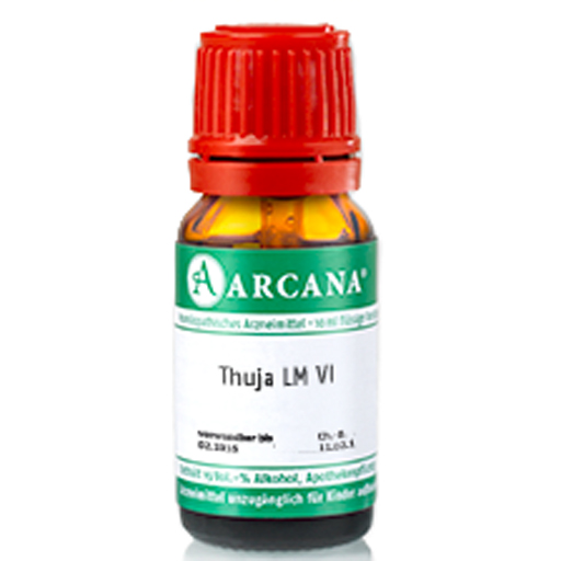 THUJA LM 18 Dilution - apotal.de - Ihre Versandapotheke