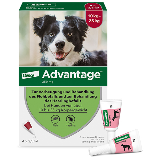 ADVANTAGE 250 Lösung f.Hunde 10-25 kg - apotal.de - Ihre Versandapotheke