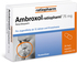 AMBROXOL-ratiopharm 75 mg Hustenlöser Retardkaps.