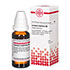 LYCOPUS VIRGINICUS D 6 Dilution