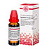 SYMPHYTUM EXTERN