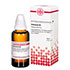 ECHINACEA HAB D 2 Dilution