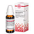 SABAL SERRULATUM D 6 Dilution