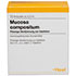 MOMORDICA COMPOSITUM N Ampullen