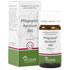 PFLÜGERPLEX Apisinum 360 Tabletten