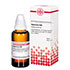 HYPERICUM D 30 Dilution