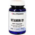 VITAMIN B1 GPH 1,4 mg Kapseln