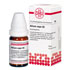 ALLIUM CEPA C 6 Globuli