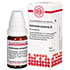 ECHINACEA PURPUREA D 2 Globuli