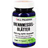 BRENNNESSELBLÄTTER 250 mg GPH Kapseln