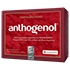 OPC ORIGINAL Masqueliers Anthogenol Kapseln