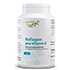 KOLLAGEN HYDROLYSAT 500 mg Kapseln
