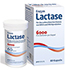 LACTASE 6.000 FCC Kapseln
