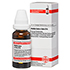 HEKLA lava e lava D 6 Dilution