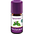 SPEARMINT ÖL Bio