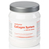 AMITAMIN Collagen System Pulver