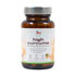 FOR YOU high curcuma Kapseln