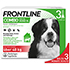 FRONTLINE Combo Spot on Hund XL Lsg.z.Auft.a.Haut