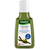 RAUSCH Anti-Fett-Shampoo mit Meerestang
