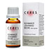 CERES Schwarze Johannisbeere Ribes nigrum Extr.Tro