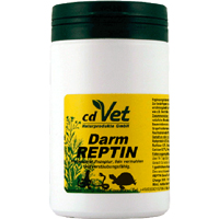 DARMREPTIN-vet