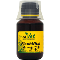 FISCHVITAL-vet