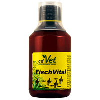 FISCHVITAL-vet